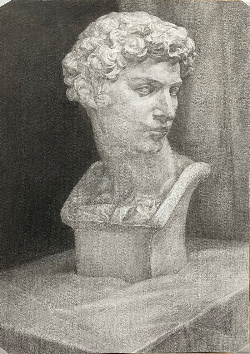 老师作品-素描石膏像