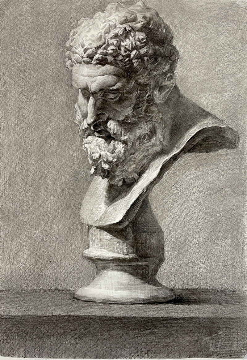 老师作品-素描石膏像
