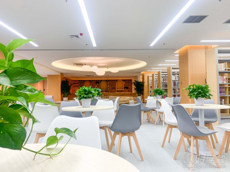 图书馆-洽谈区