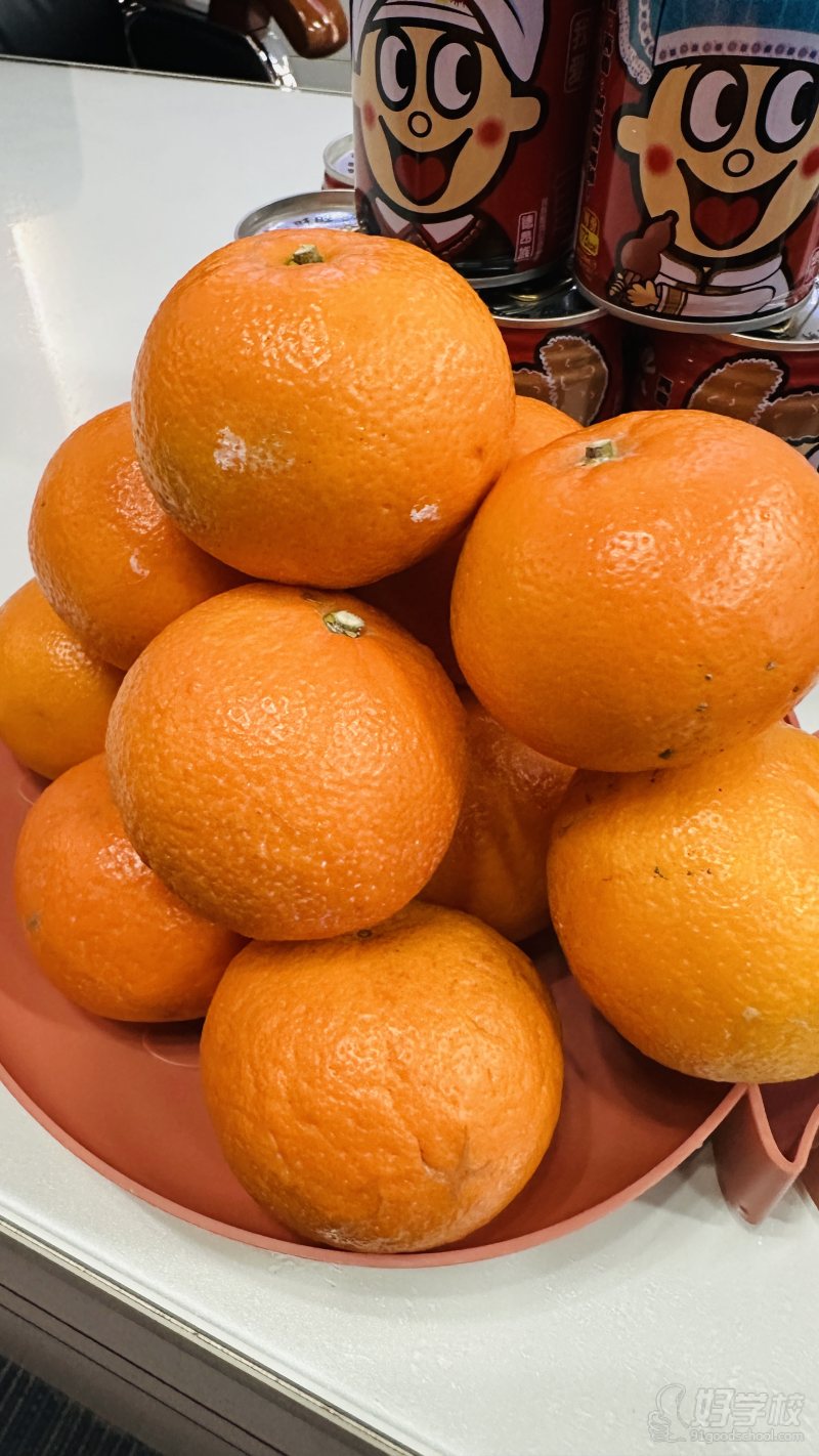 2025庆祝新年开工