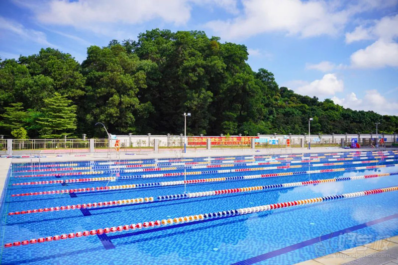 游泳池