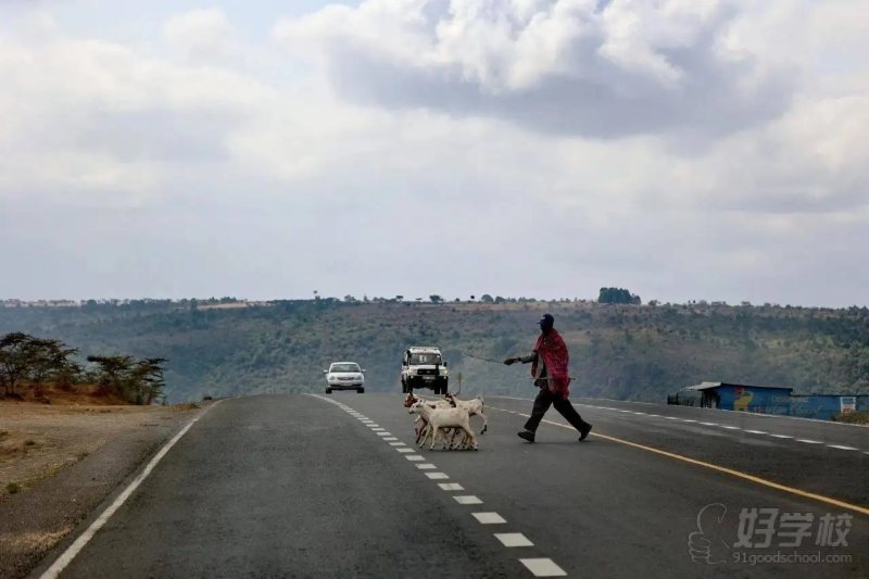 林伊沂家长摄影作品