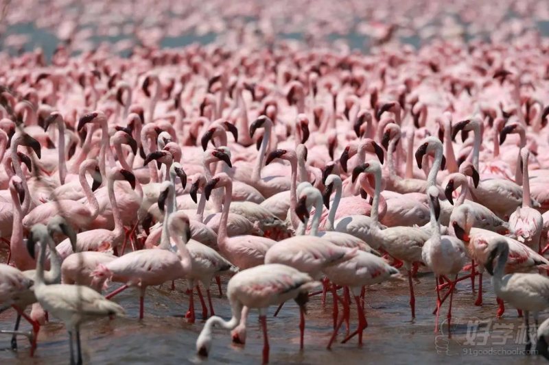 学生林伊沂摄影作品