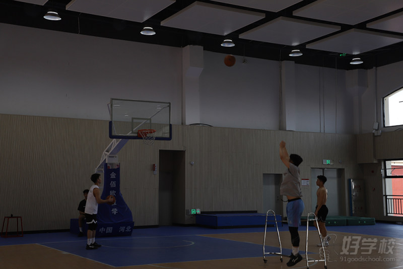 篮球训练