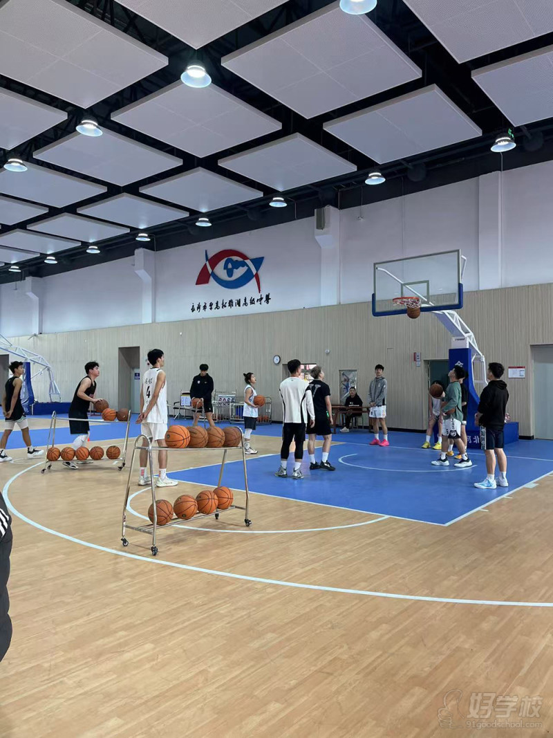 篮球训练