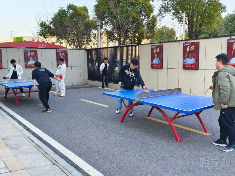 乒乓球台