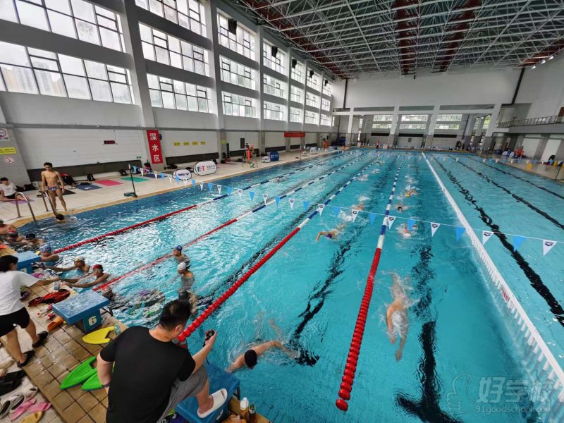 50米标准泳池