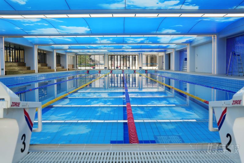 2025游泳池图片