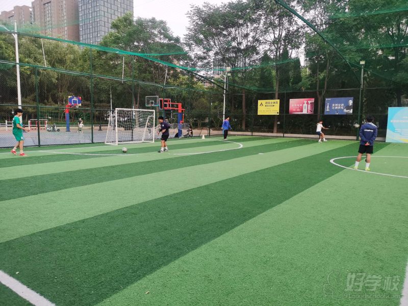 教练员定期培训