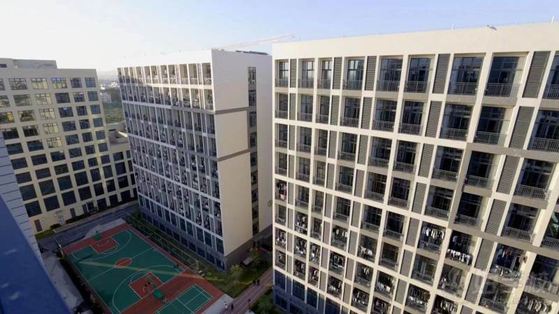 校区环境-教学楼