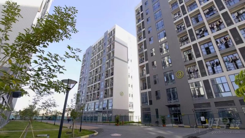 校区环境-教学楼