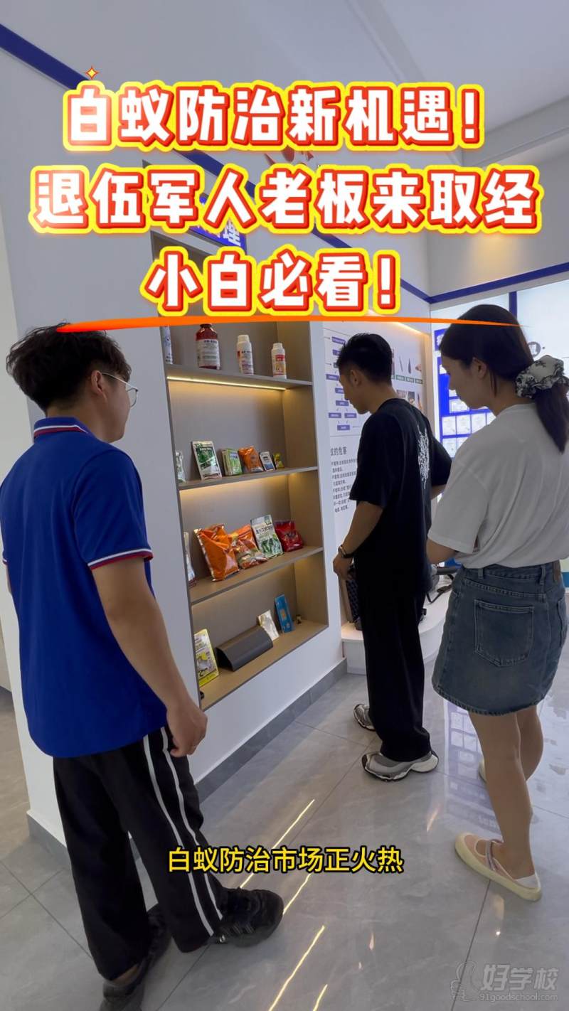 白蚁防治新机遇！