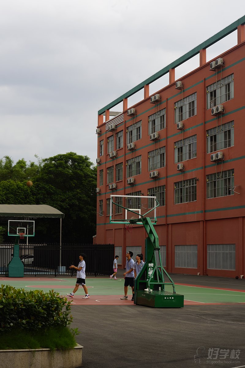 篮球场