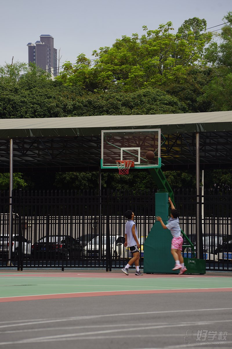 篮球场