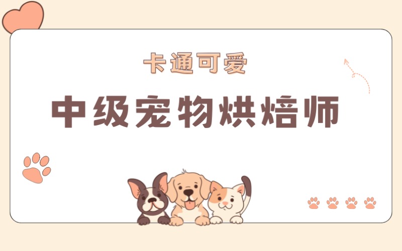 中山中级宠物烘焙师系列课程