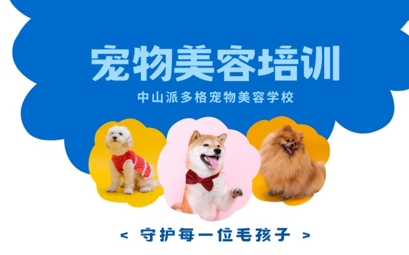 中山宠物美容课程培训