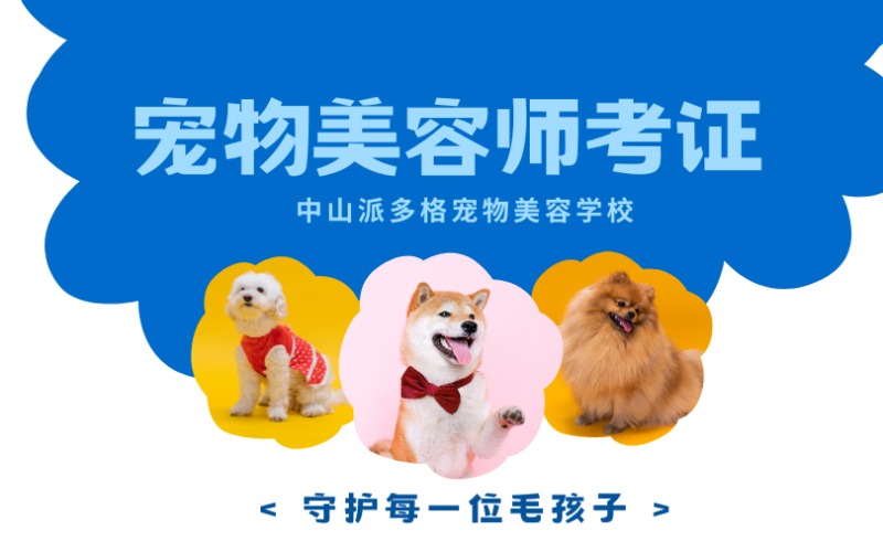 中山宠物美容师考证班课程