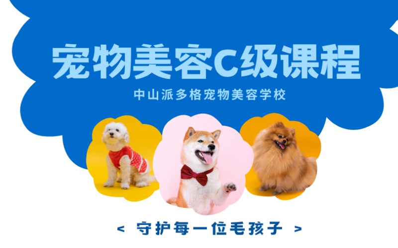 中山宠物美容C级课程培训