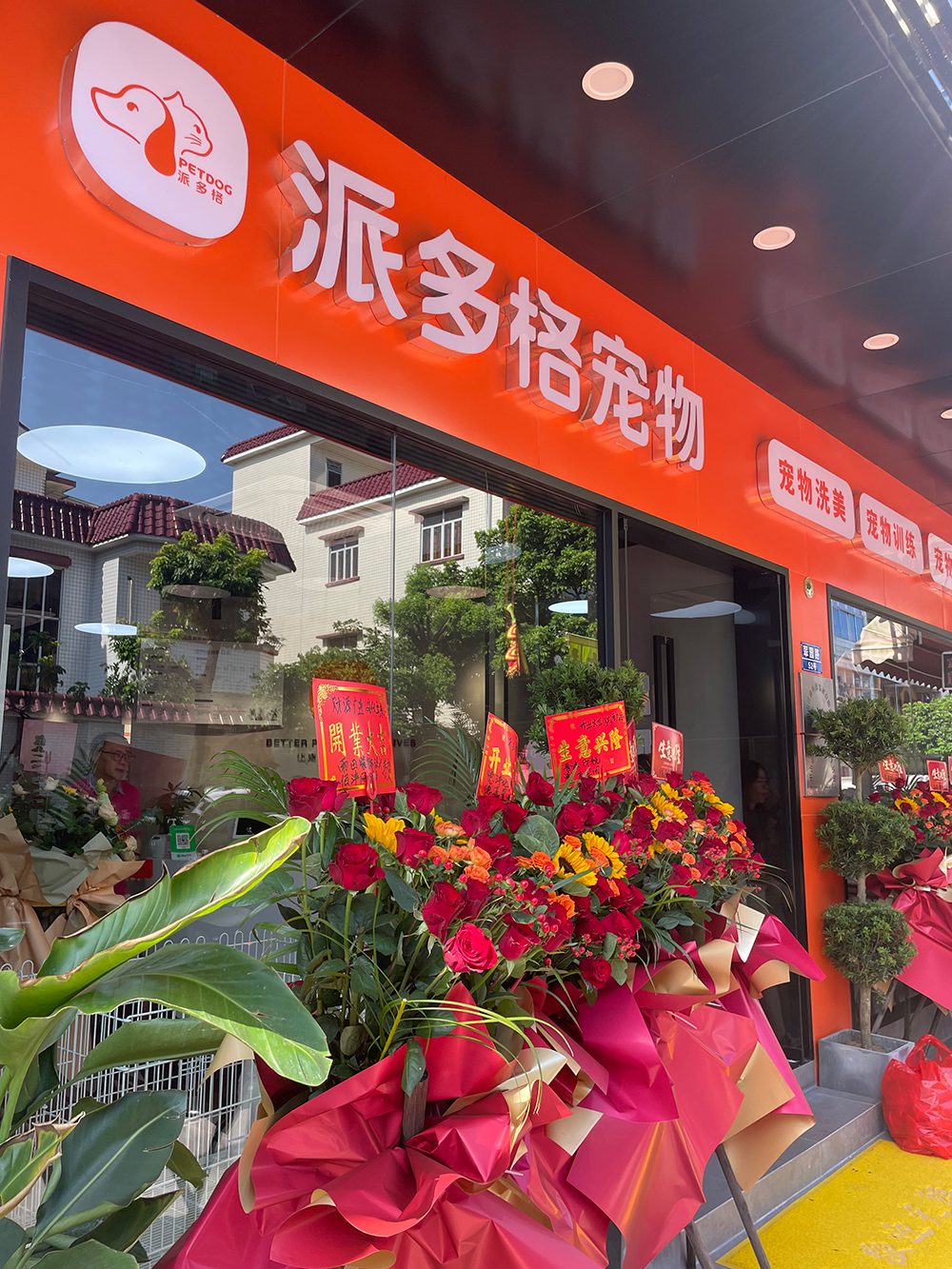 中山区派多格
