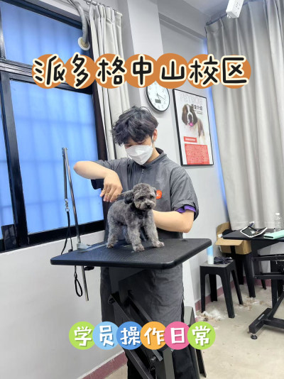 中山区派多格