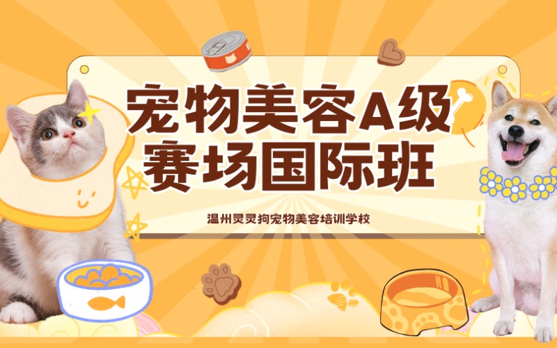 温州宠物美容A级赛场国际班