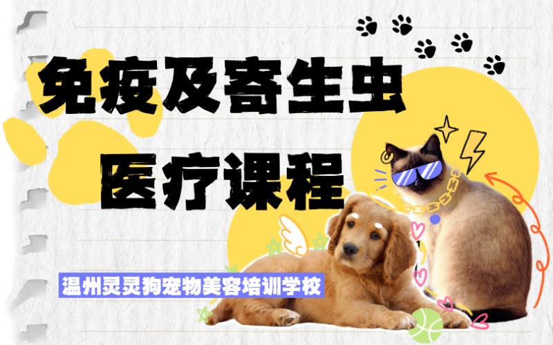 温州宠物护理免疫及寄生虫医疗课程