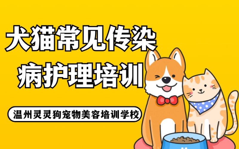 温州犬猫常见传染病护理培训