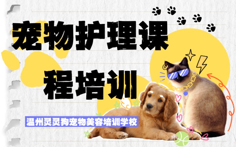 温州宠物护理课程培训