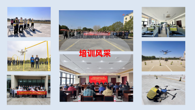 合肥校区