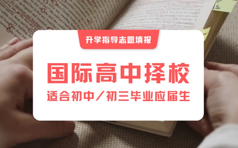 南京国际高中择校指导志愿填报服务