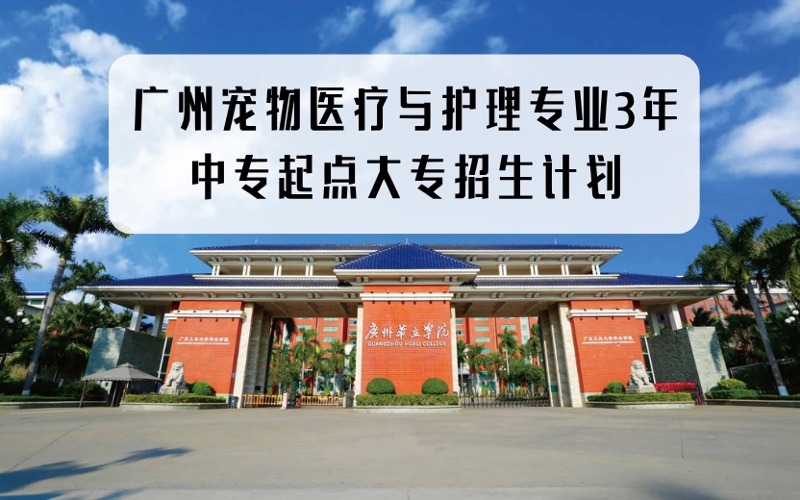 廣州寵物醫療與護理3年中專起點招生計劃