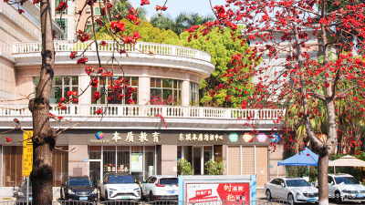 东莞校区