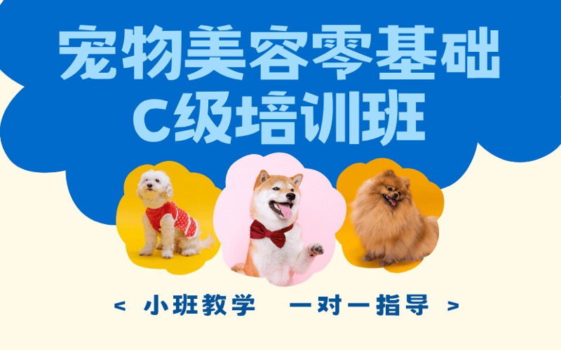 石家庄宠物美容零基础C级培训班