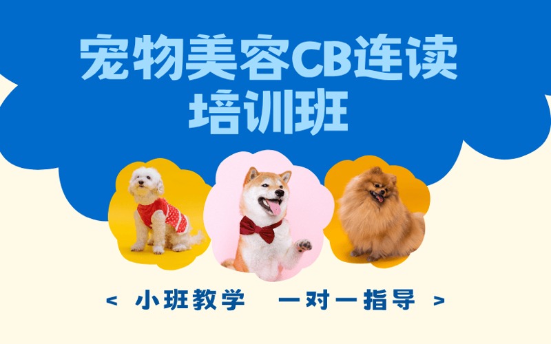 石家庄宠物美容零基础CB连读培训班