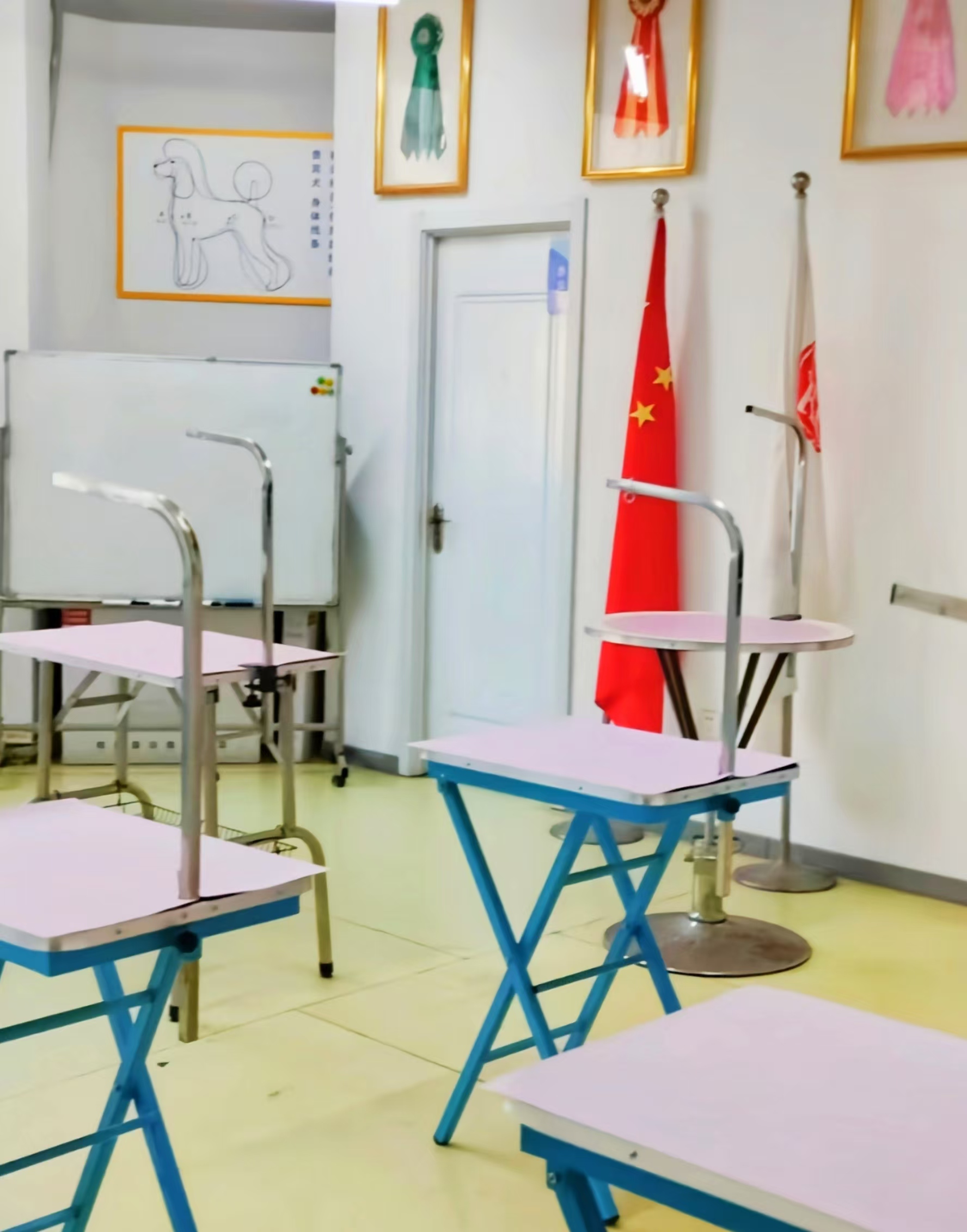 石家庄校区