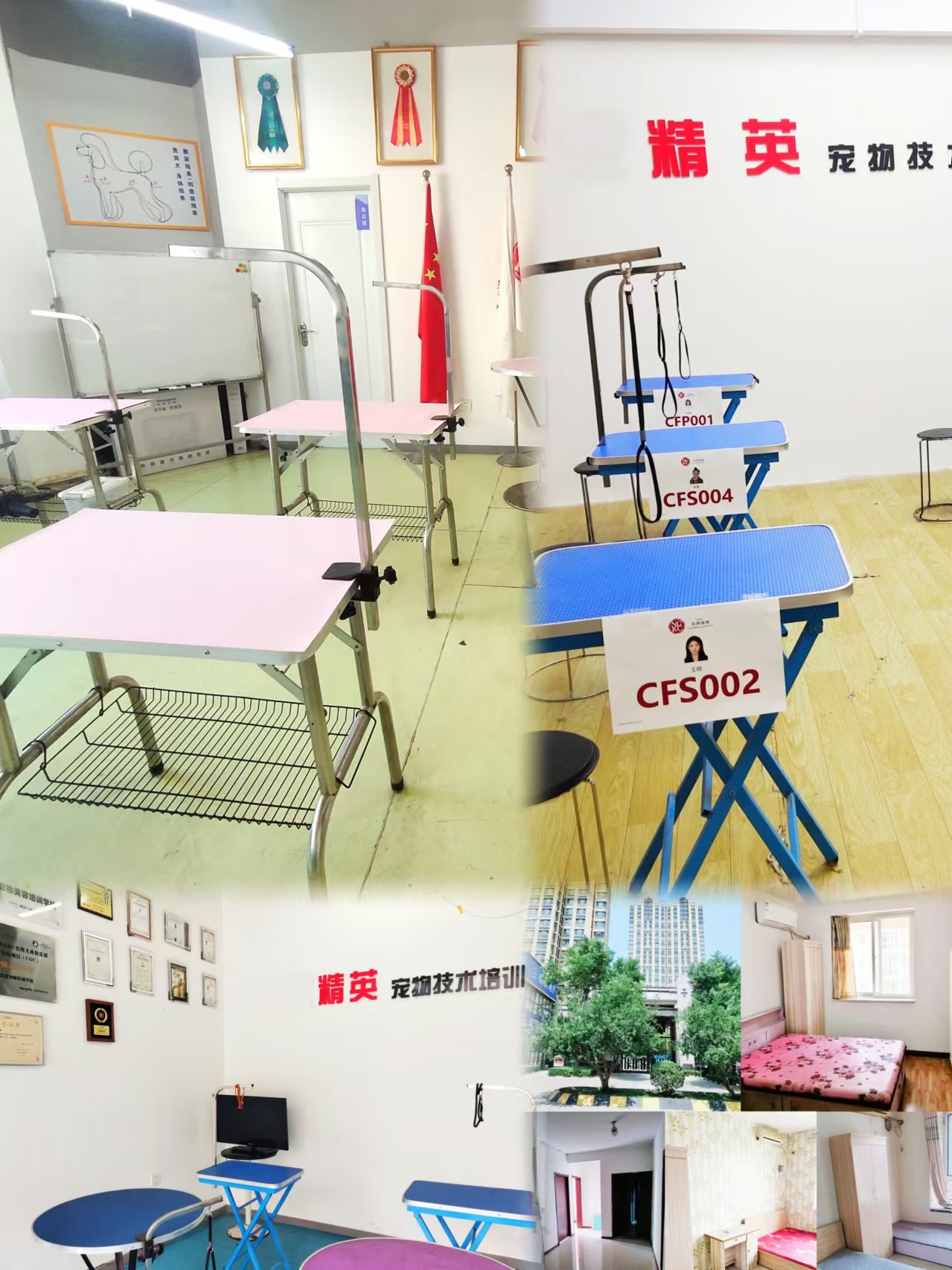 石家庄校区