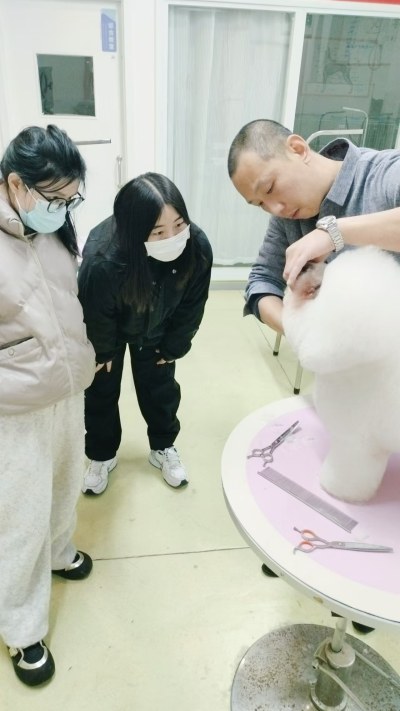 石家庄校区