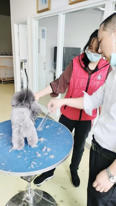石家庄校区