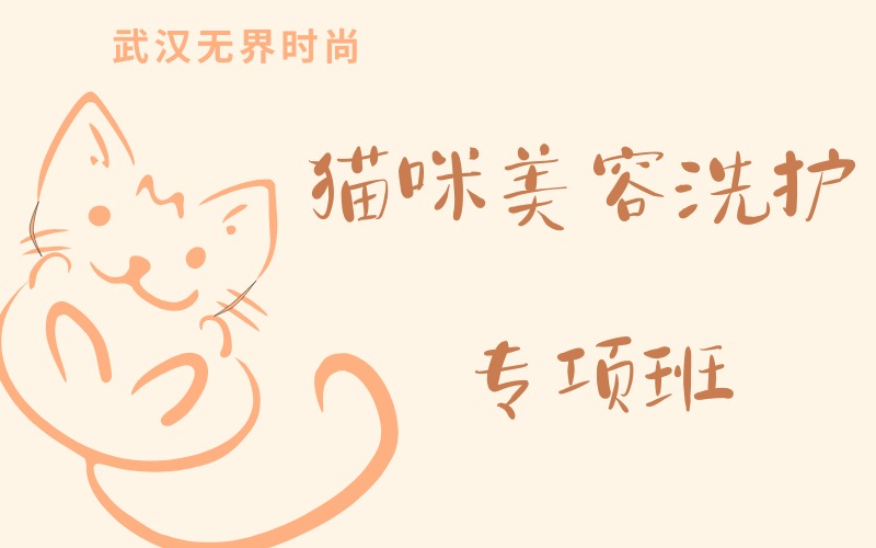 武汉猫咪美容洗护专项班