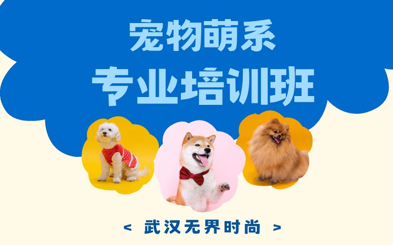 武汉宠物萌系专业培训班