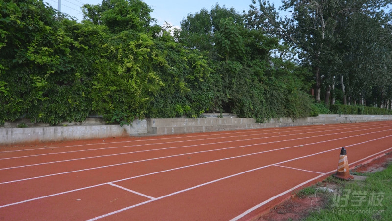 体育场地