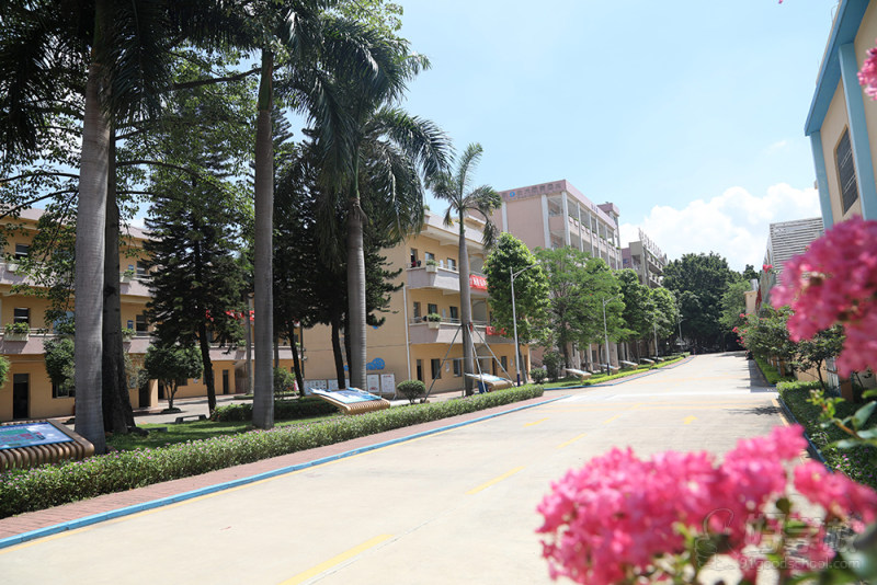 佛山校区—星光大道