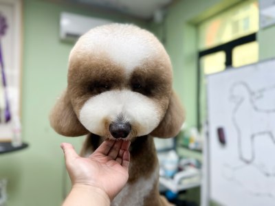 上海松江校区