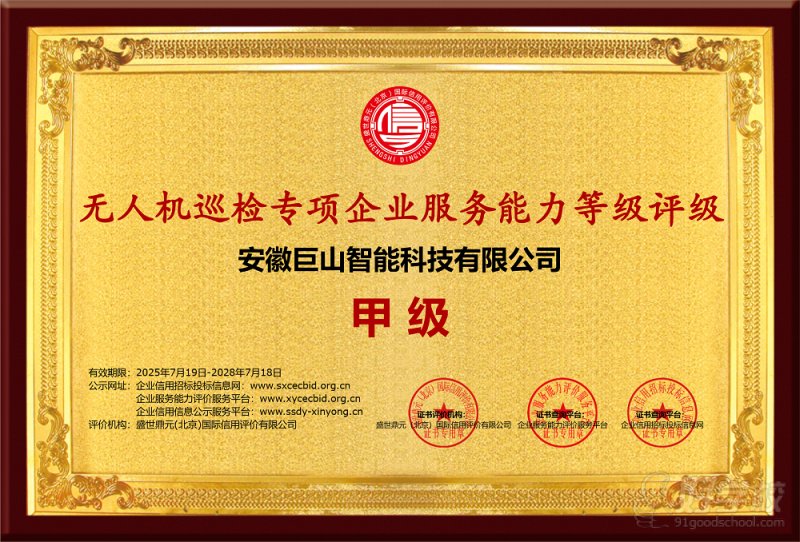 无人机巡检专项荣誉