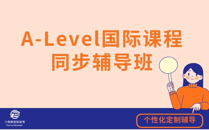 A-Level国际课程一对一同步辅导班