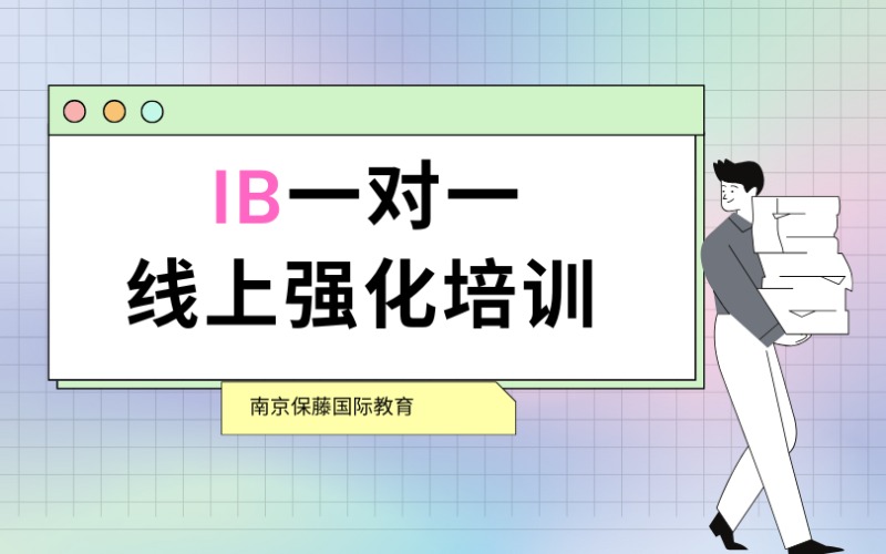 IB国际课程一对一线上强化培训