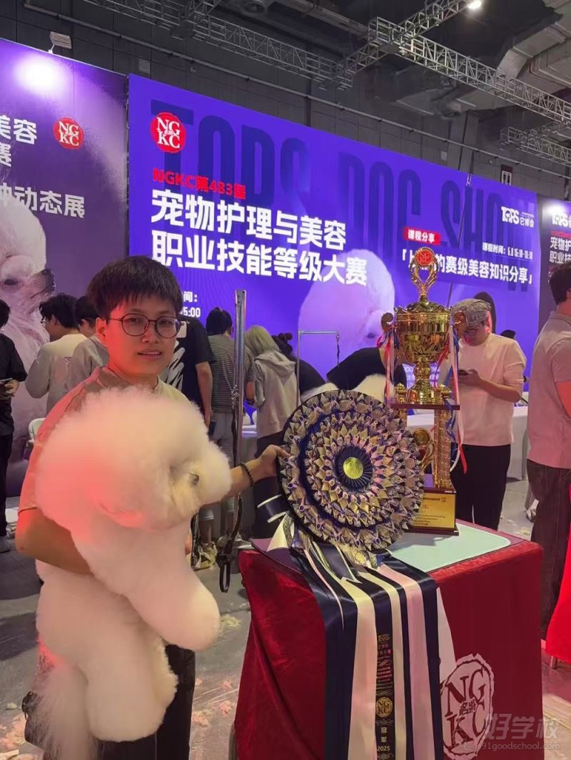 代晶茹老师荣誉照片