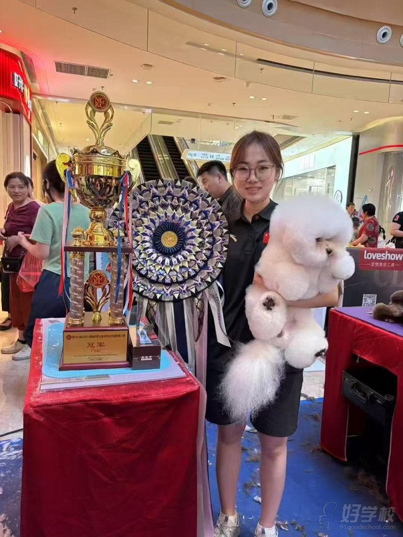 杨静老师荣誉照片