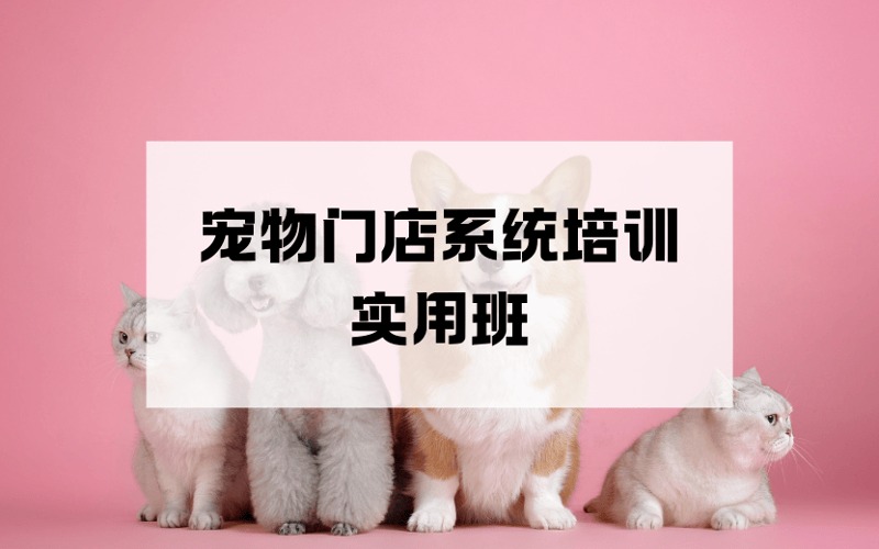 東莞寵物門店系統(tǒng)培訓(xùn)實用班