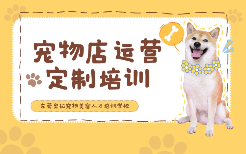 東莞寵物店運(yùn)營定制培訓(xùn)班